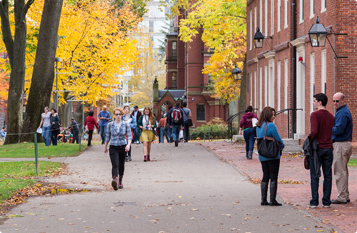 自动化报表的在线网站攻击